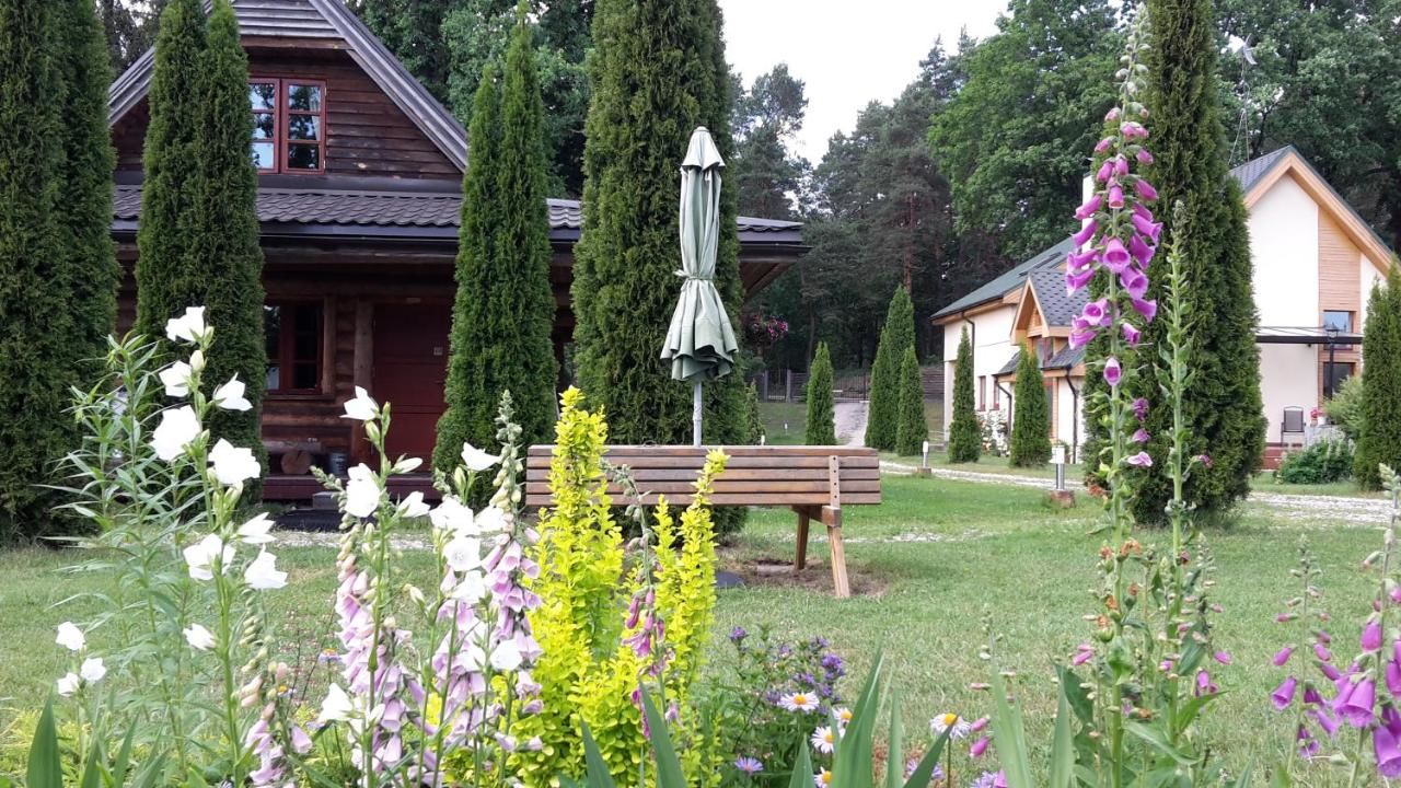 Дома для отпуска Forest Edge Lodge and House Рига-30