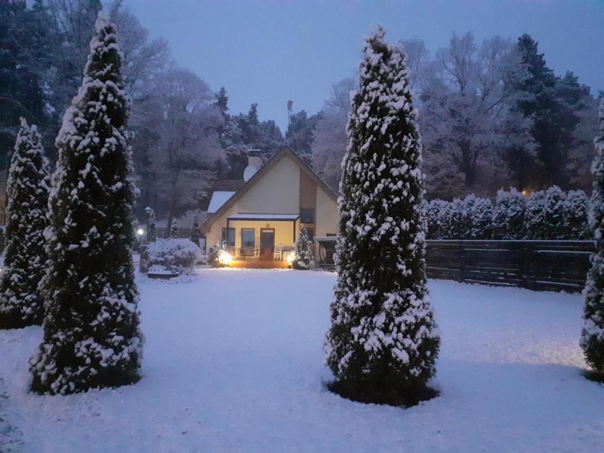 Дома для отпуска Forest Edge Lodge and House Рига-7