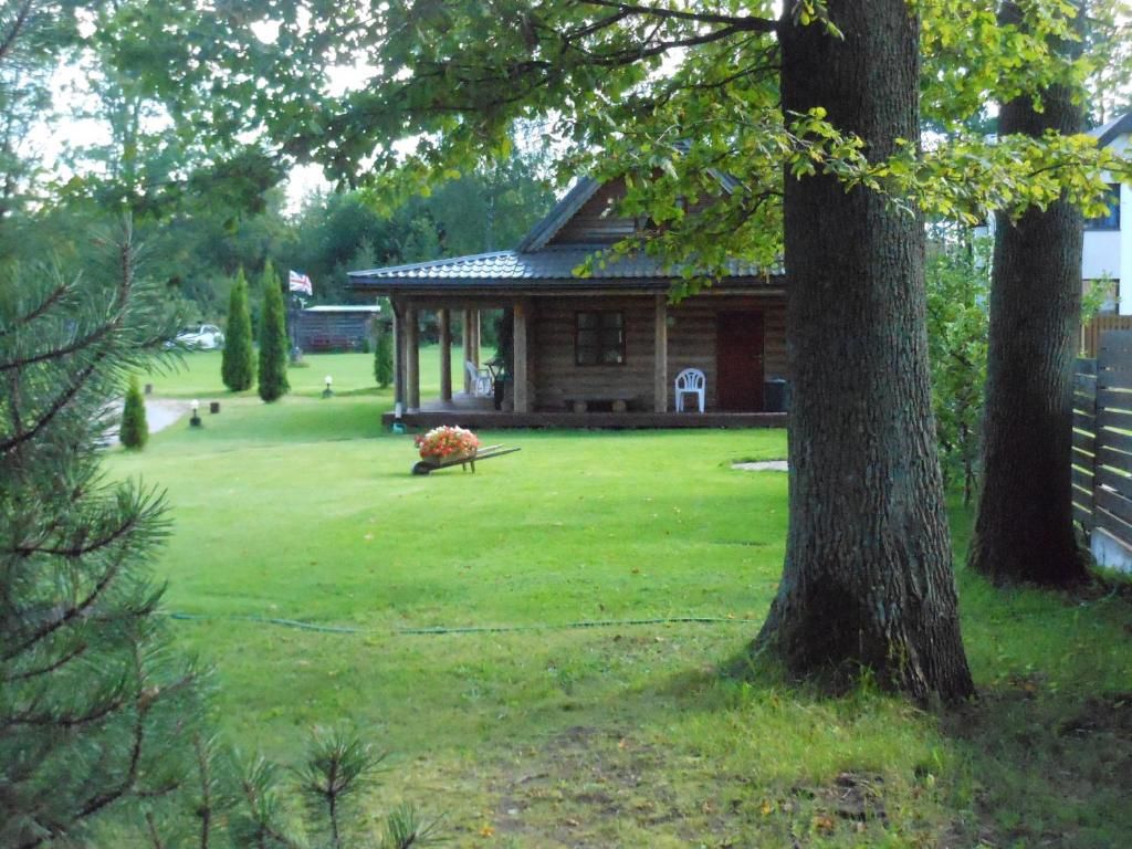 Дома для отпуска Forest Edge Lodge and House Рига-80